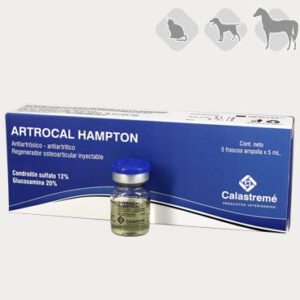 ARTROCAL HAMPTON 5ML CAJA 5DS