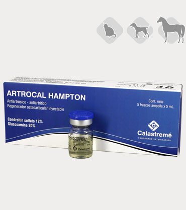 Artrocal_x5ml-370x418-1.jpg ARTROCAL HAMPTON 5ML CAJA 5DS