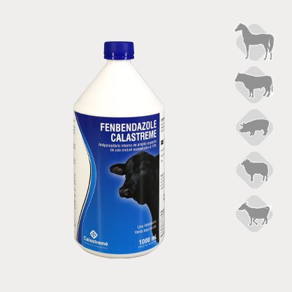 FENBENDAZOLE 10% 1L