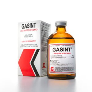 GASINT INY 100ML CHINF