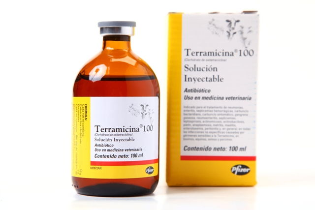 TERRAMICINA 100 INY 100ML