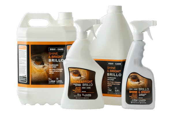 ACONDICIONADOR BRILLO EC 500ML