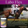 labo-flex.jpg CLENBUTEROL EQUI SYSTEMS JBE 500CC