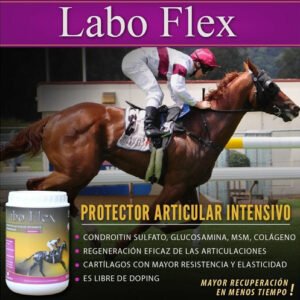 LABO FLEX 900GR
