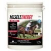 muscle-energy.jpg MUSCLE ENERGY LABOQUIMICA 2,7KG