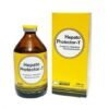 HEPATOPROTECTOR T NORT 100ML