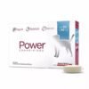 power-comprimidos-perro-30-1-a-40-kg-1.jpg POWER COMPRIMIDOS PERROS 30,1-40KG