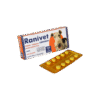 RANIVET 40MG 10 COMP