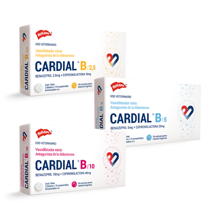 CARDIAL B 2,5MG 20COMP