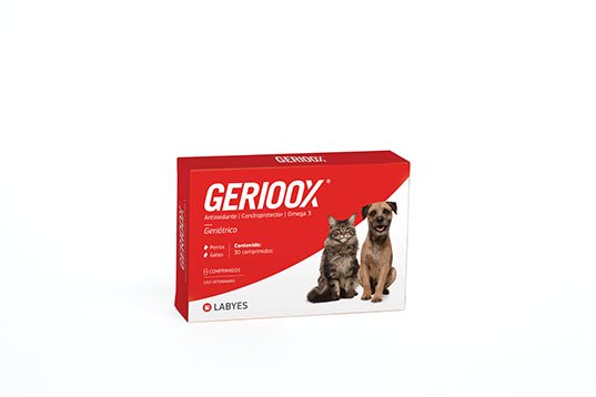gerioox_arg_chile_x30_2018_con_foto_web GERIOOX 1BL 10COMP