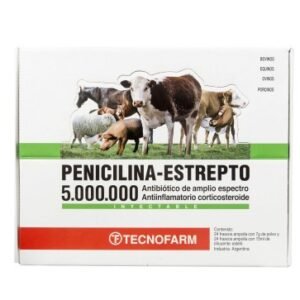 PENICILINA/EST 5.000.000 U.I. 1FCO TECNO