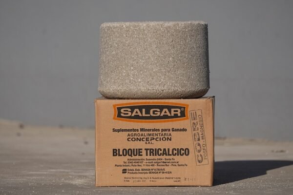 PIEDRA SAL SALGAR 13 KG