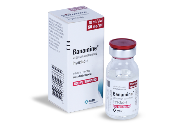 BANAMINE MSD INY 50ML