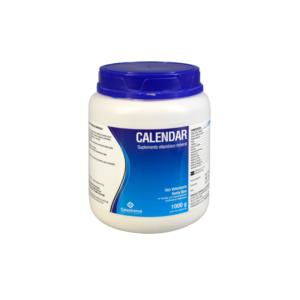 CALENDAR HAMPTON 1KG