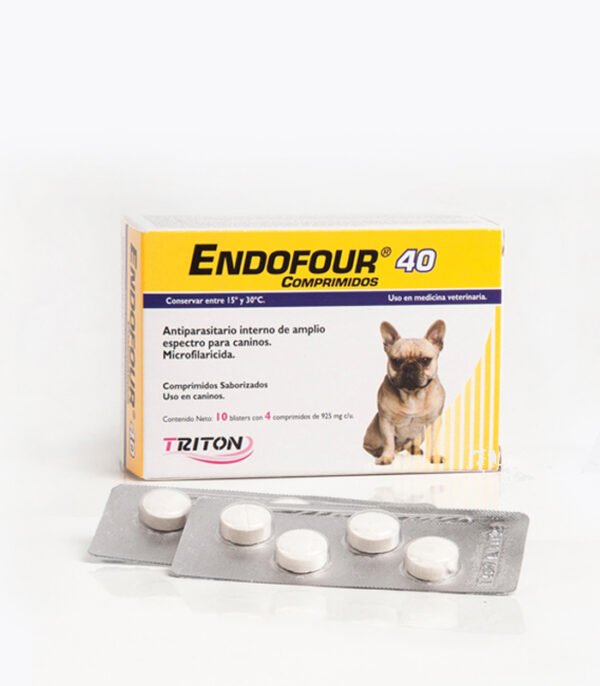 ENDOFOUR 40 TRITON 4COMP