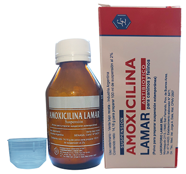 AMOXICILINA LM 100MG SUSP