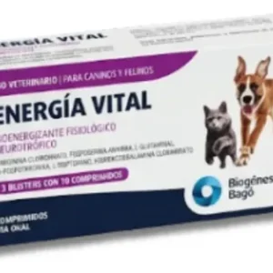 ENERGIA VITAL X 30 COMP