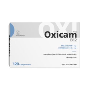 OXICAM B12 BLIST X 10 COMP