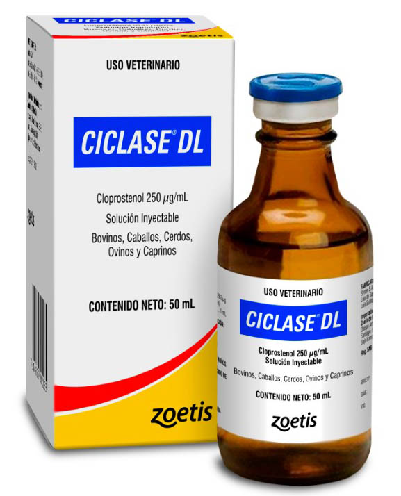 CICLASE DL 50ML ZOETIS