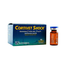 CORTIVET SHOCK FCO 10L